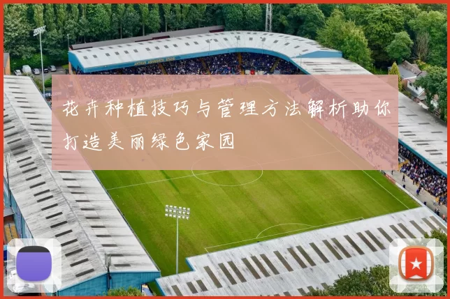 花卉种植技巧与管理方法解析助你打造美丽绿色家园