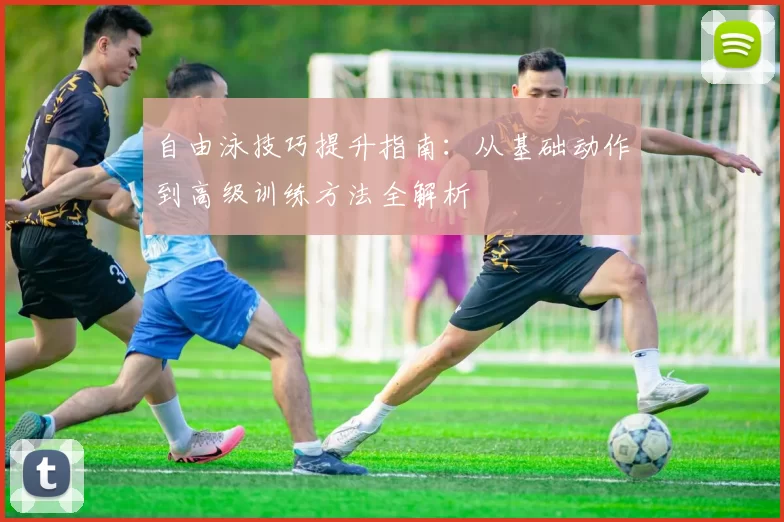 自由泳技巧提升指南：从基础动作到高级训练方法全解析