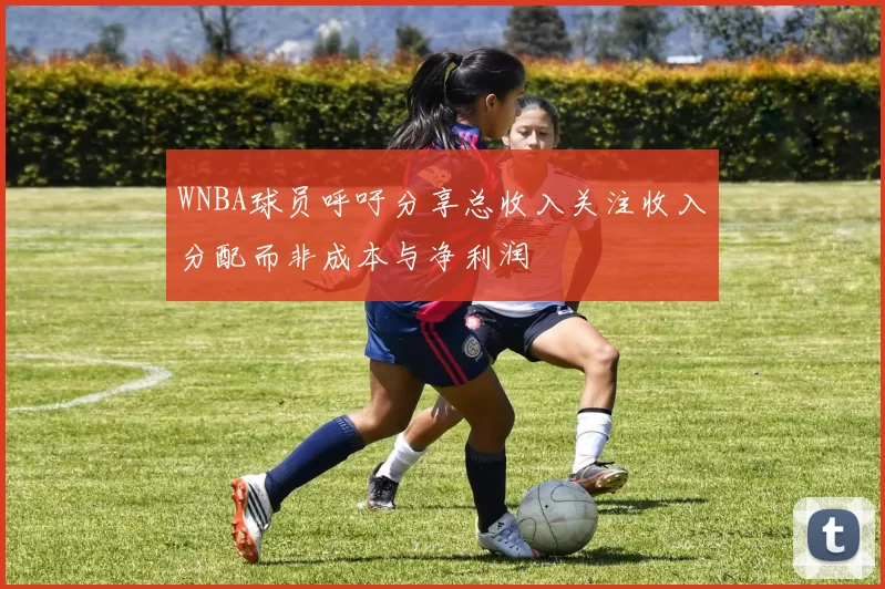 WNBA球员呼吁分享总收入关注收入分配而非成本与净利润