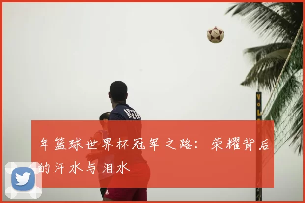 年篮球世界杯冠军之路:荣耀背后的汗水与泪水
