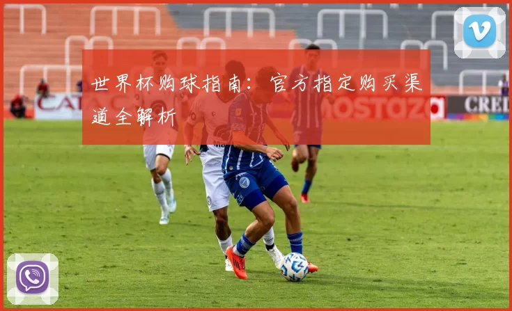 世界杯购球指南:官方指定购买渠道全解析