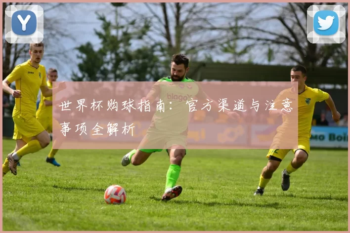 世界杯购球指南:官方渠道与注意事项全解析