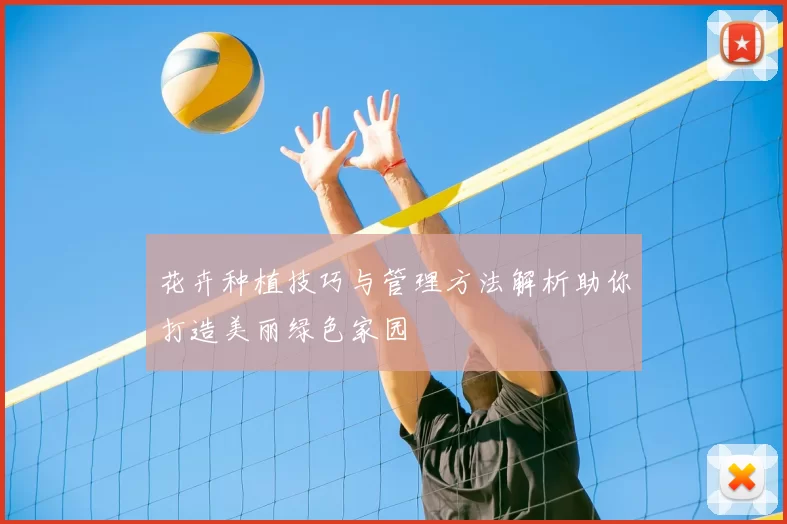 花卉种植技巧与管理方法解析助你打造美丽绿色家园