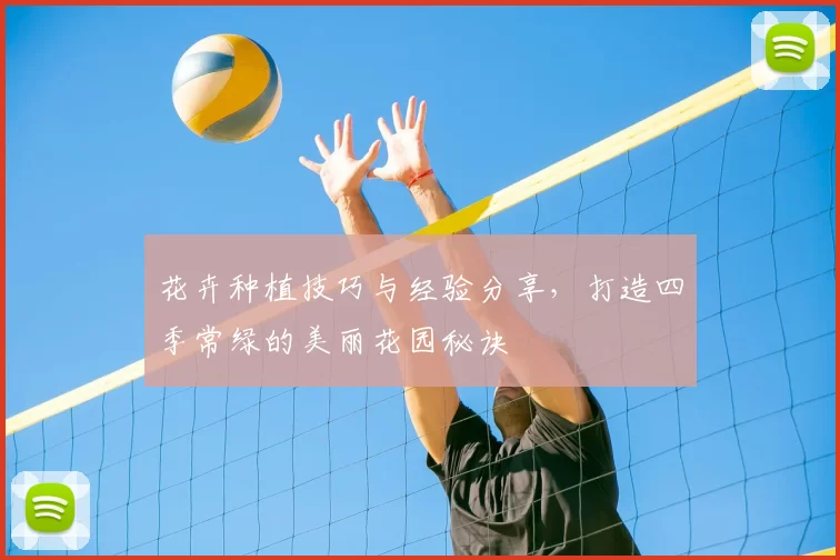 花卉种植技巧与经验分享，打造四季常绿的美丽花园秘诀
