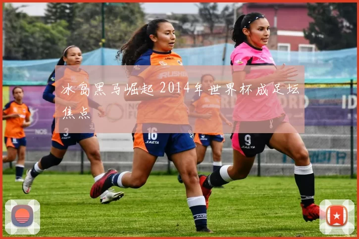 冰岛黑马崛起 2014年世界杯成足坛焦点