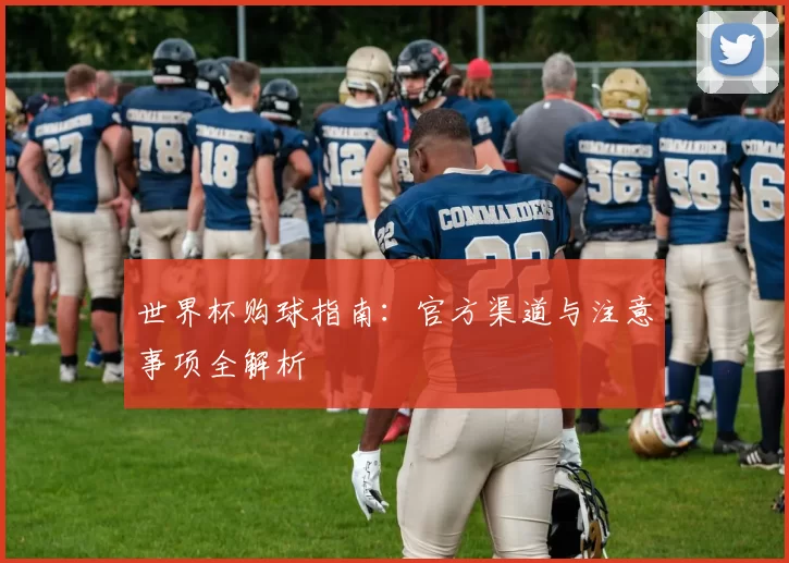 世界杯购球指南:官方渠道与注意事项全解析