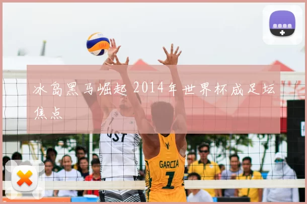 冰岛黑马崛起 2014年世界杯成足坛焦点