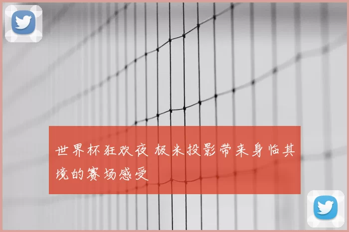 世界杯狂欢夜 极米投影带来身临其境的赛场感受