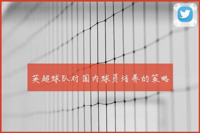 英超球队对国内球员培养的策略